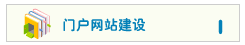 门户网站策划建设