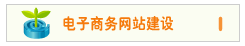 网上商城建设