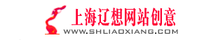辽想网站创意——全上海最优秀的网站建设网页制作设计网